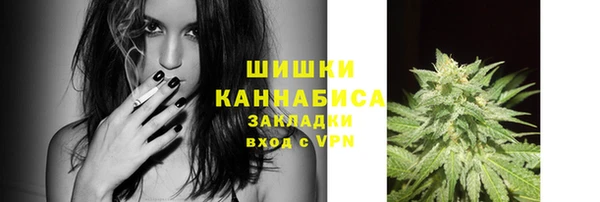 ПСИЛОЦИБИНОВЫЕ ГРИБЫ Переславль-Залесский