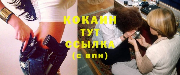 индика Санкт-Петербург