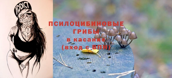 не бодяженный Абаза