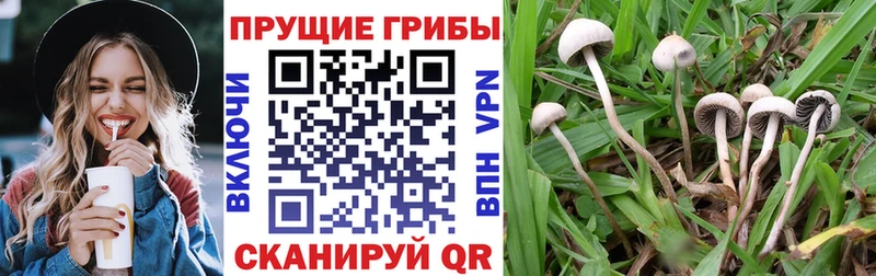 Галлюциногенные грибы GOLDEN TEACHER  Нариманов 
